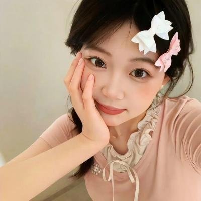 泥砖与镜子